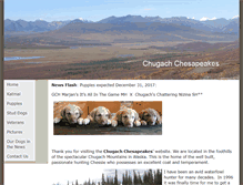 Tablet Screenshot of chugachchesapeakes.com